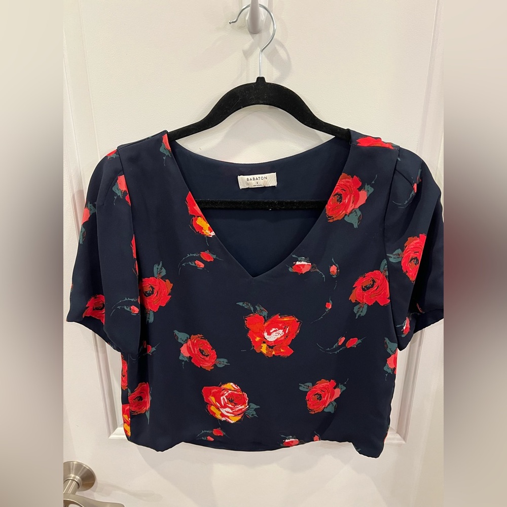 Aritzia Babaton floral top